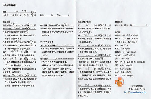 20100507_6.jpg