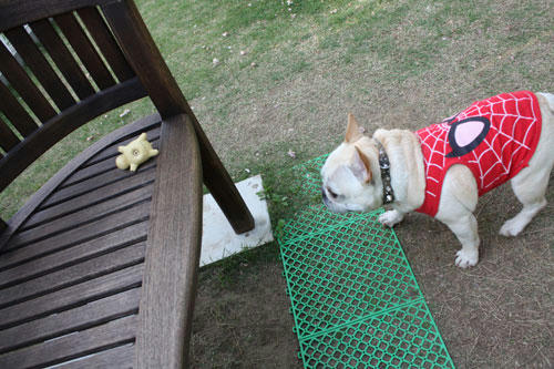 20100511_1.jpg