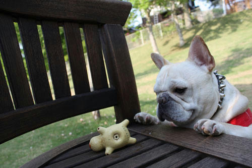 20100511_10.jpg