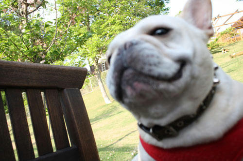 20100511_14.jpg