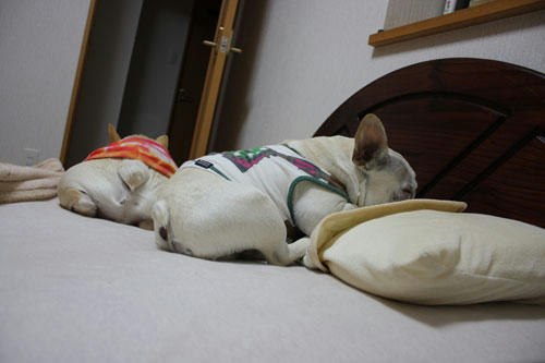 20100512_1.jpg