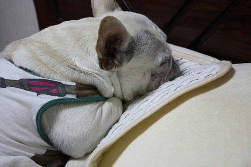 20100512_3.jpg