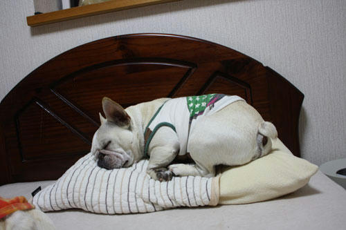 20100512_4.jpg