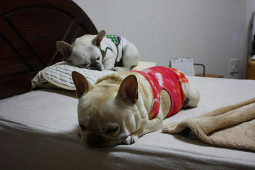 20100512_5.jpg