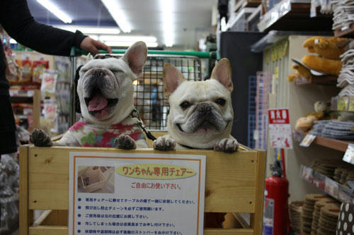 20100517_3.jpg