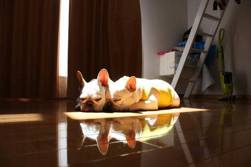 20100518_1.jpg