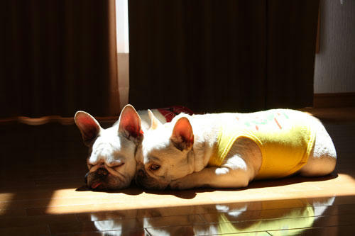 20100518_2.jpg