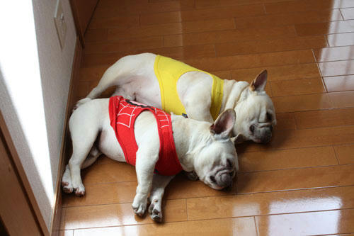 20100519_1.jpg
