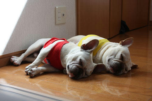 20100519_2.jpg