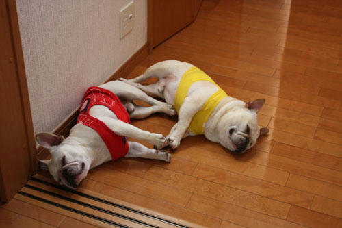 20100519_4.jpg