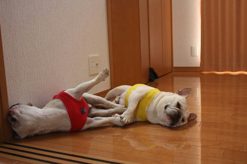 20100519_6.jpg