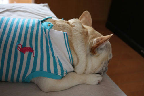 20100520_3.jpg