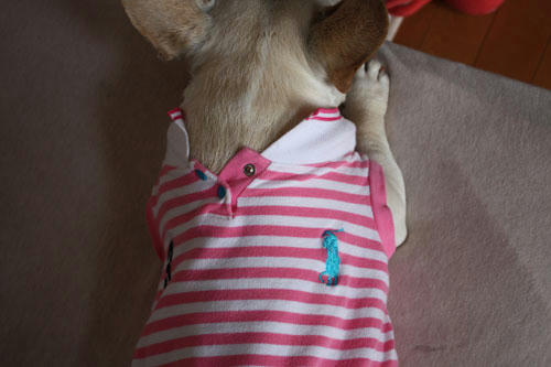 20100520_4.jpg