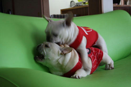 20100523_3.jpg