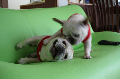 20100523_4.jpg