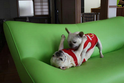 20100523_5.jpg