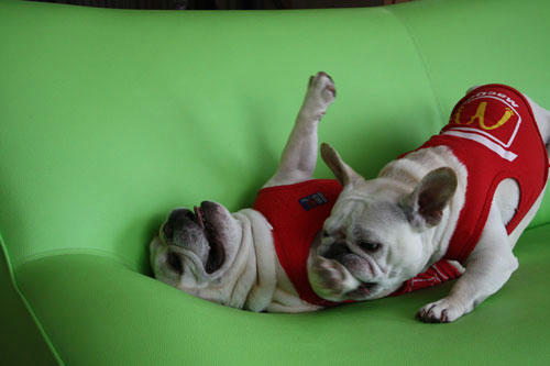 20100523_7.jpg
