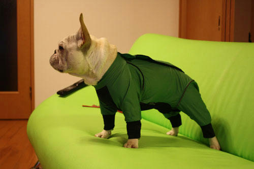 20100524_1.jpg