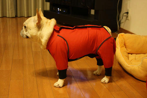 20100524_2.jpg