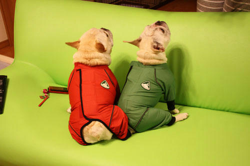 20100524_4.jpg