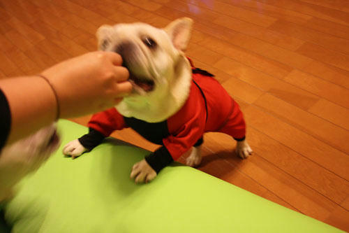20100524_5.jpg