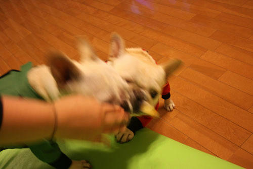20100524_6.jpg