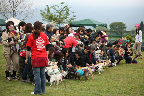 20100530_11.jpg