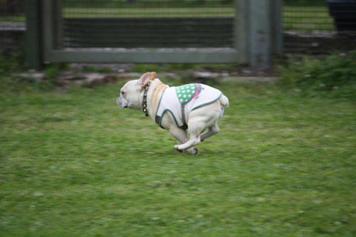 20100531_3.jpg