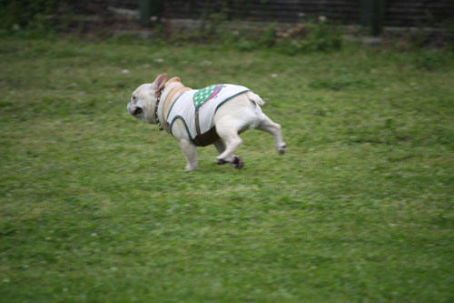 20100531_4.jpg