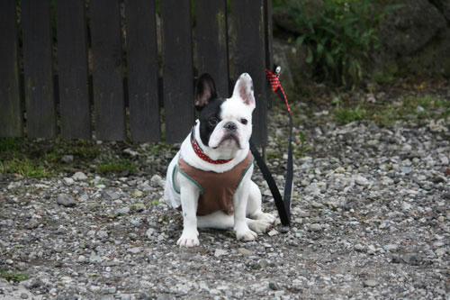 20100531_5.jpg