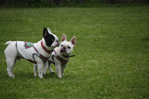 20100531_6.jpg