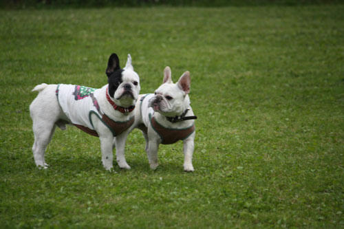 20100531_7.jpg