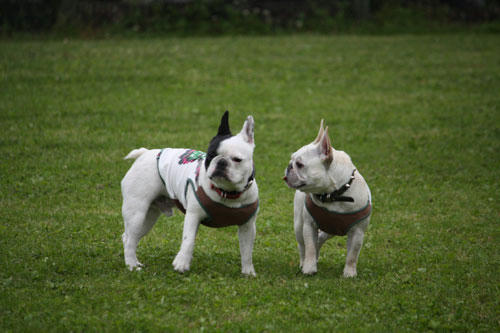 20100531_8.jpg