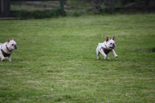 20100531_9.jpg