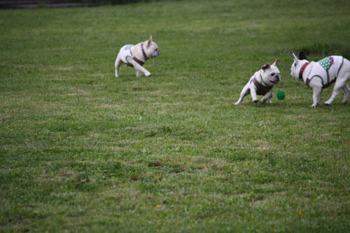 20100531_10.jpg