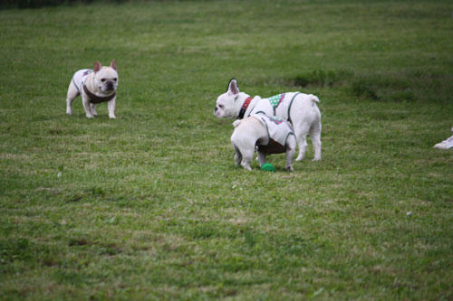20100531_12.jpg