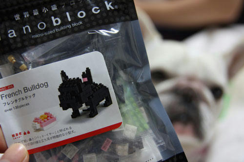 20100603_2.jpg