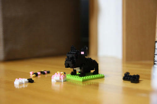 20100603_6.jpg