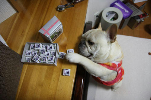 20100605_10.jpg