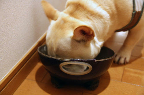 20100610_3.jpg