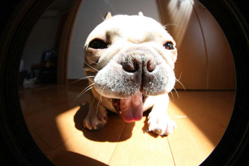 20100610_4.jpg