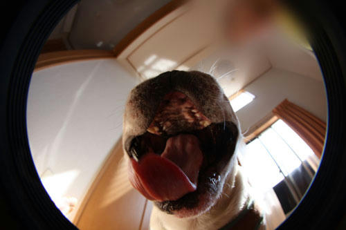 20100610_5.jpg