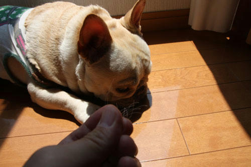 20100612_2.jpg