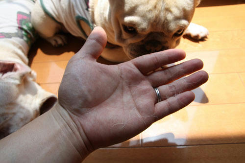 20100612_3.jpg