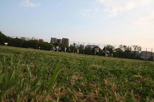 20100613_1.jpg
