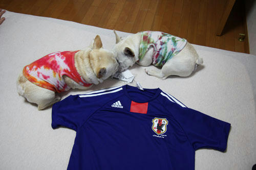 20100614_1.jpg