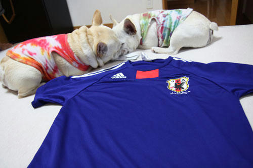 20100614_2.jpg
