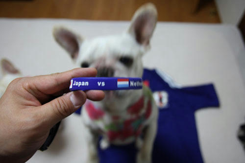 20100614_3.jpg
