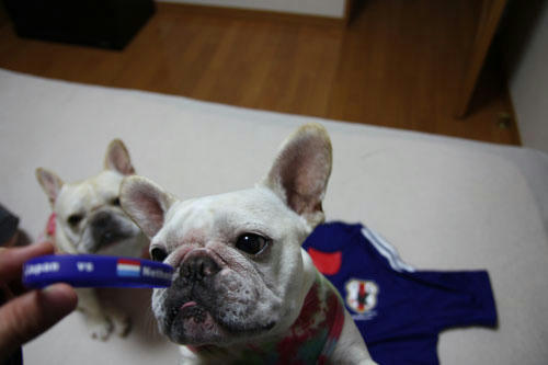 20100614_4.jpg