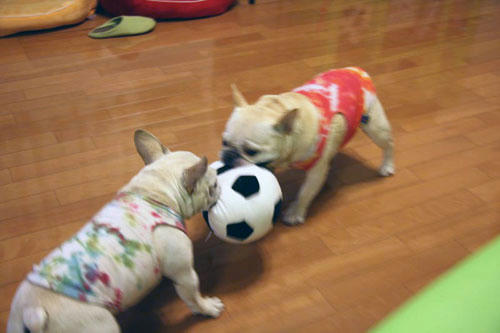 20100618_4.jpg
